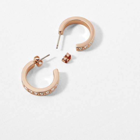 NEW Ted Baker Seanna Crystal Small Hoop Earrings - Picture 5 of 11